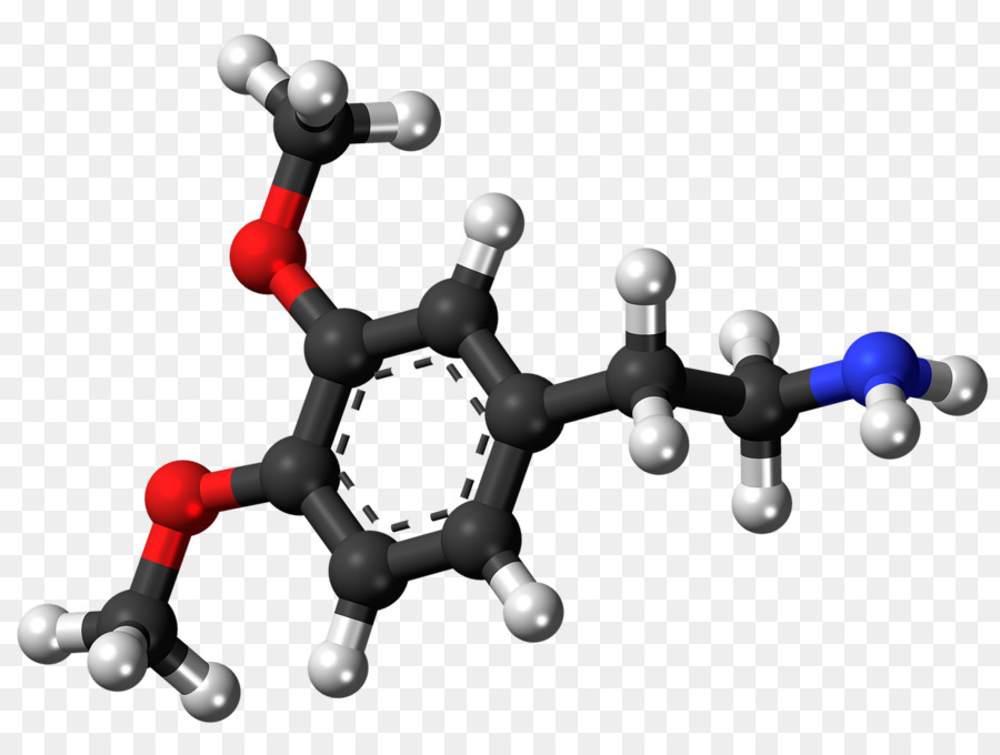 Dopamina，Los Neurotransmisores PNG