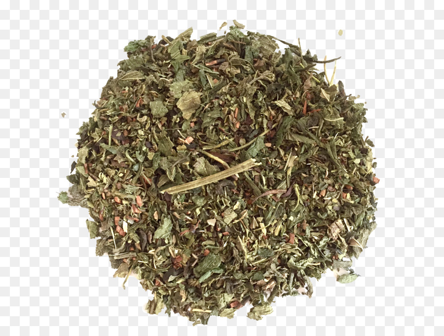 Té，Nilgiri Té PNG