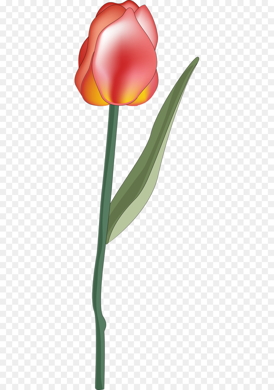 Flor，Rojo PNG