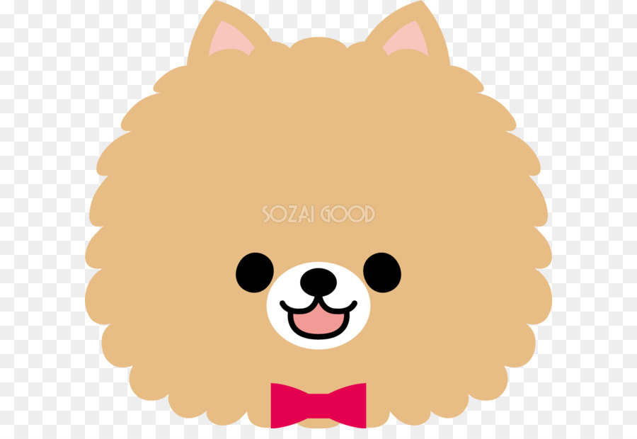 Cachorro，Pomerania PNG