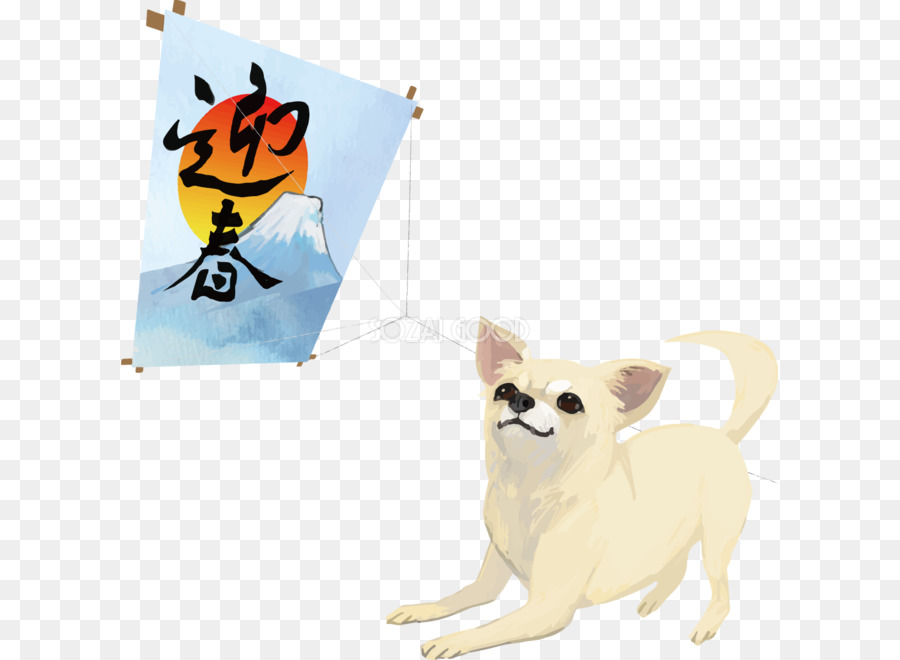 Pomerania，Chihuahua PNG