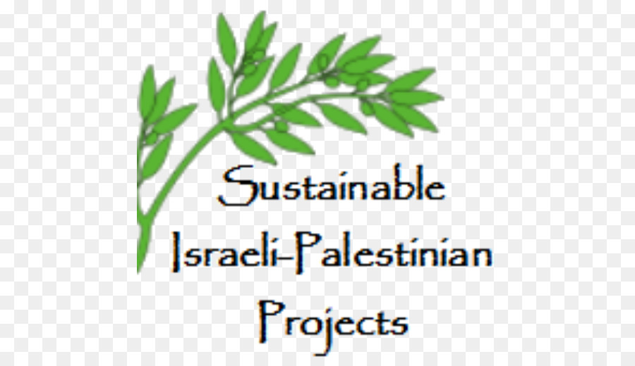 Sostenible Israelipalestinian Proyectos，Organización PNG