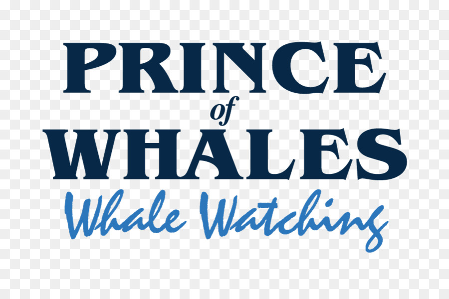 El Príncipe De Ballenas Observación De Ballenas，Cetacea PNG