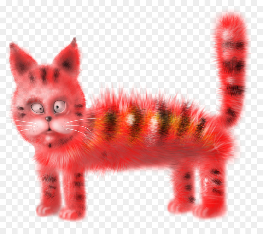 Bigotes，Gatito PNG