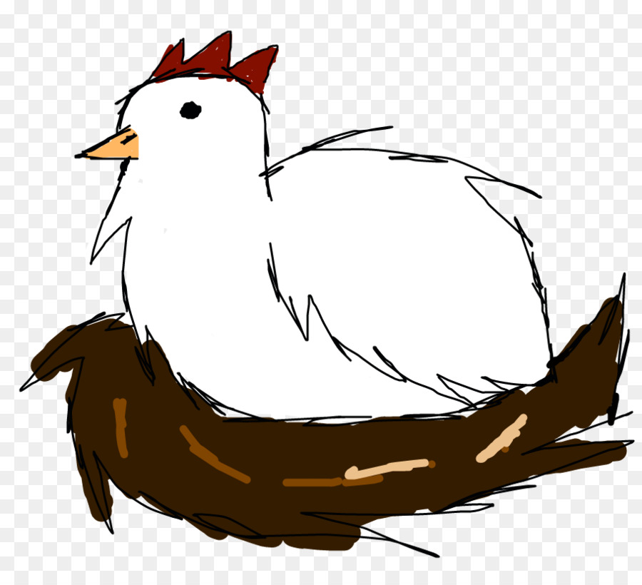 Pollo，Cygnini PNG