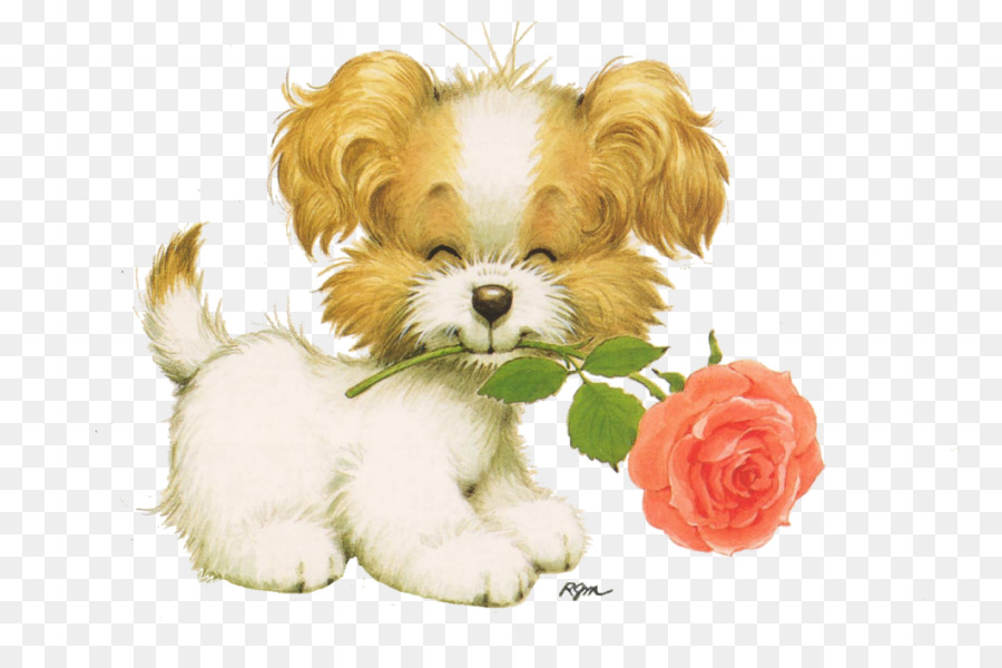 Cavachon，Cachorro PNG