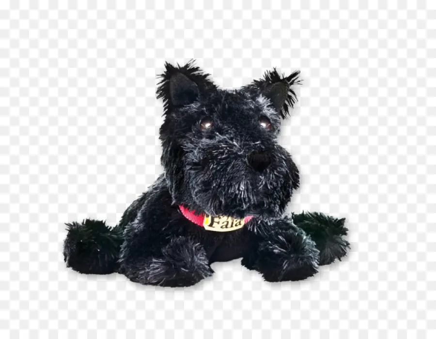 Schnauzer Miniatura，Scottish Terrier PNG