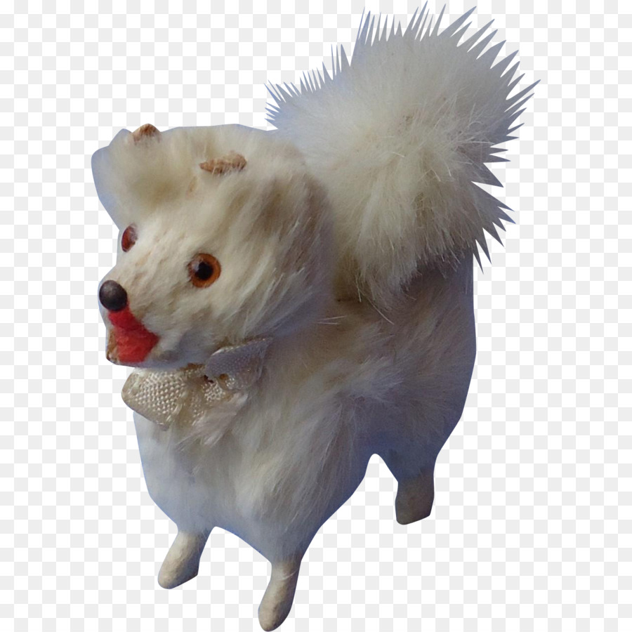 German Spitz Pequeño，Pomerania PNG