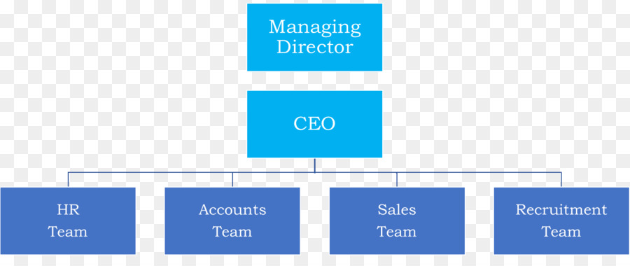 Diagrama De，Organización PNG