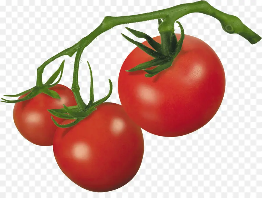 Tomate Cherry，Bush Tomate PNG