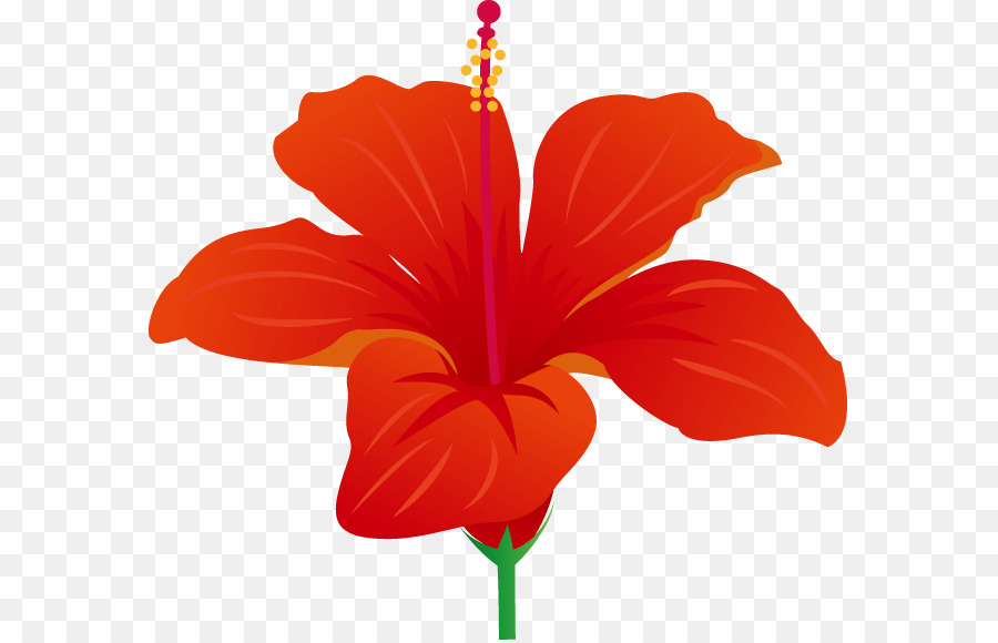 Pintura De Acuarela，Flor PNG