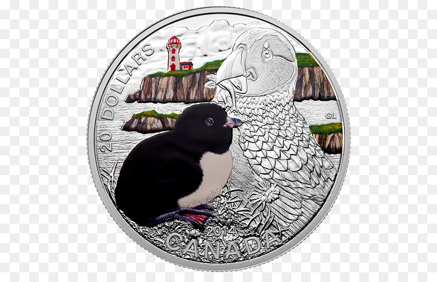 Frailecillo Atlántico，Moneda De Plata PNG