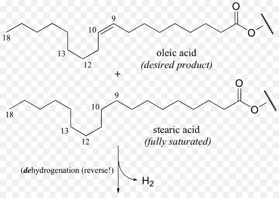 Estructura Química，Molécula PNG