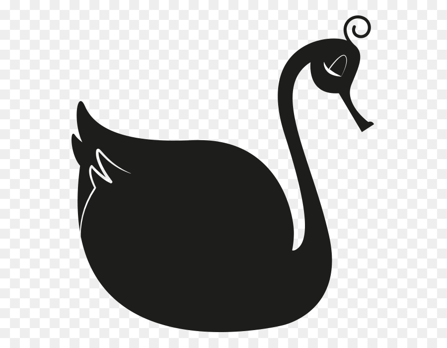 Cisne Negro，Pájaro PNG