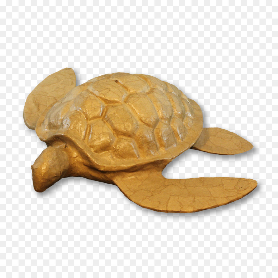 Urna，Tortuga PNG