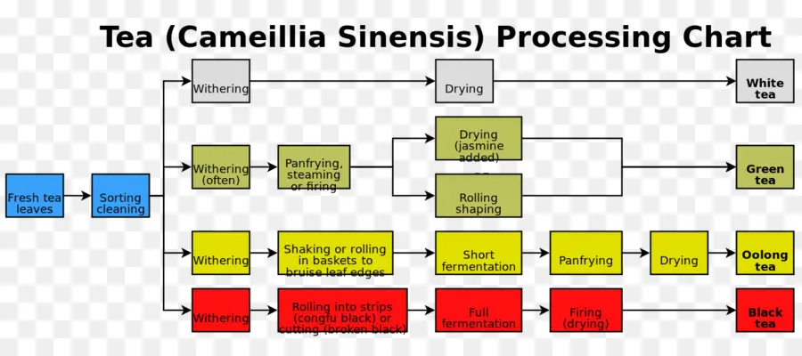 Procesamiento De Té，Pasos PNG