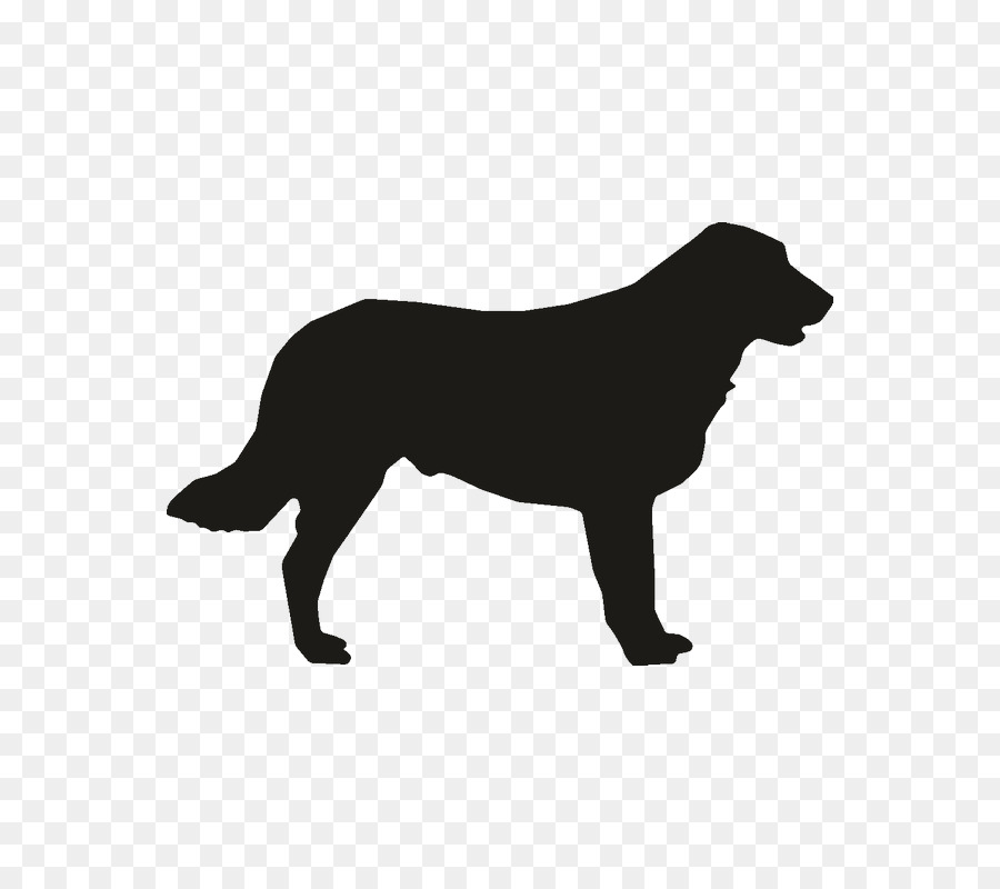 Contorno Del Perro，Mascota PNG