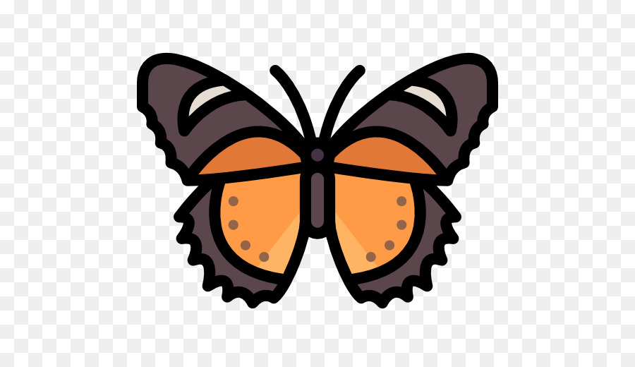 La Mariposa Monarca，Profesional De Servicio De Red PNG