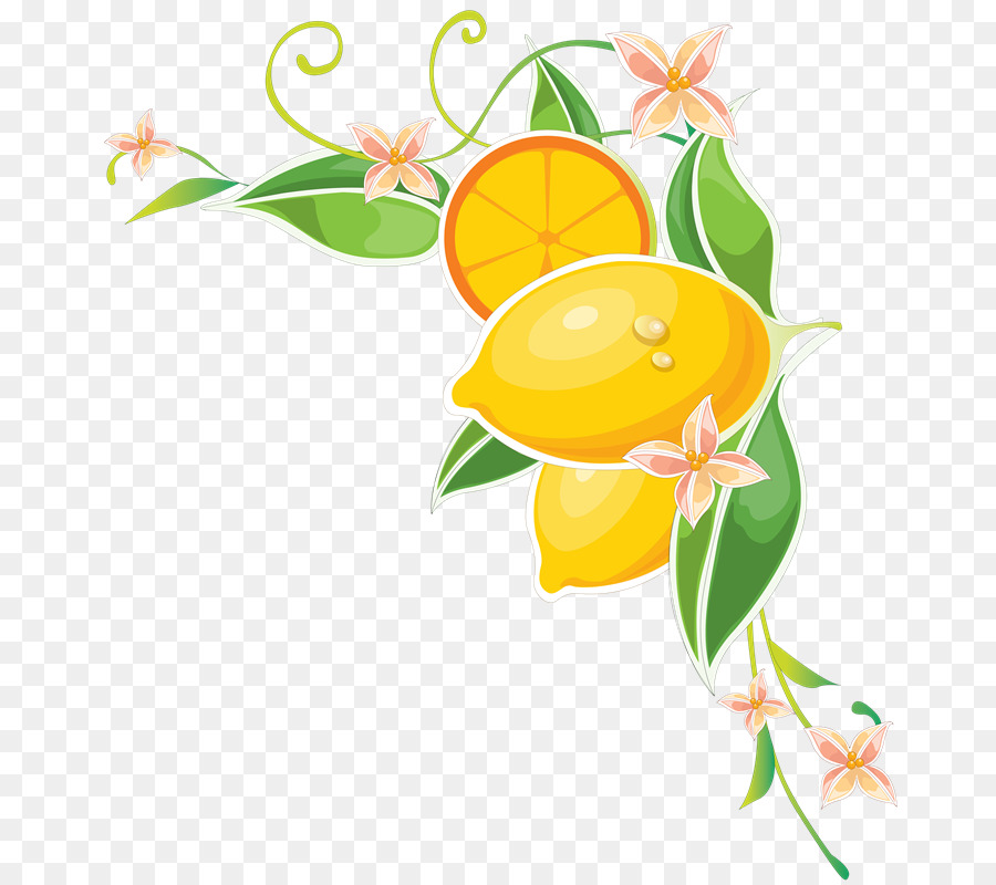 Diseño Floral，Flor PNG