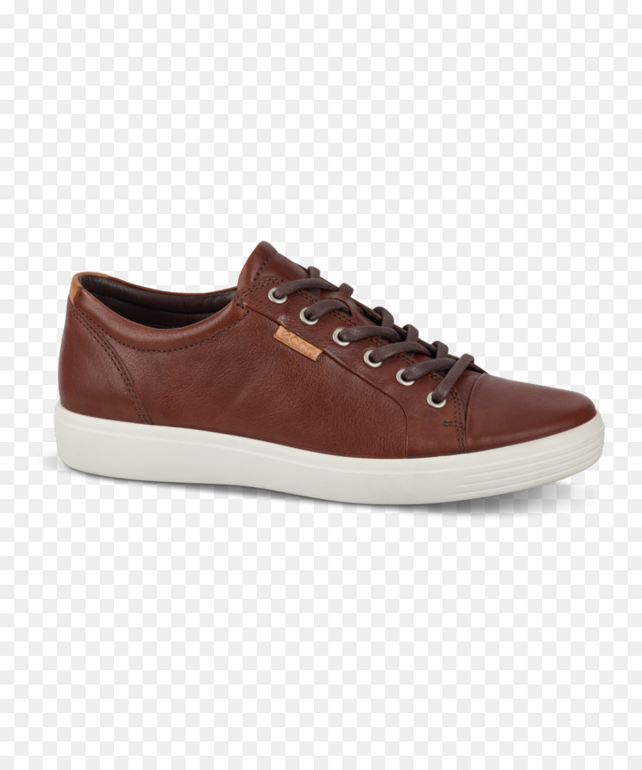 Zapatillas De Deporte，Zapato PNG