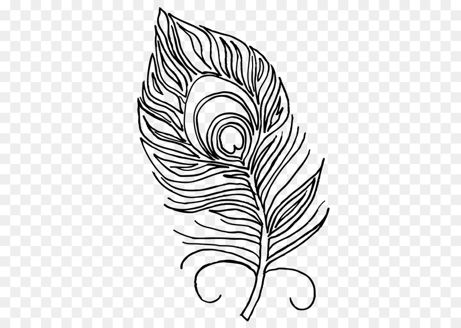 Pluma，Libro De Colorear PNG