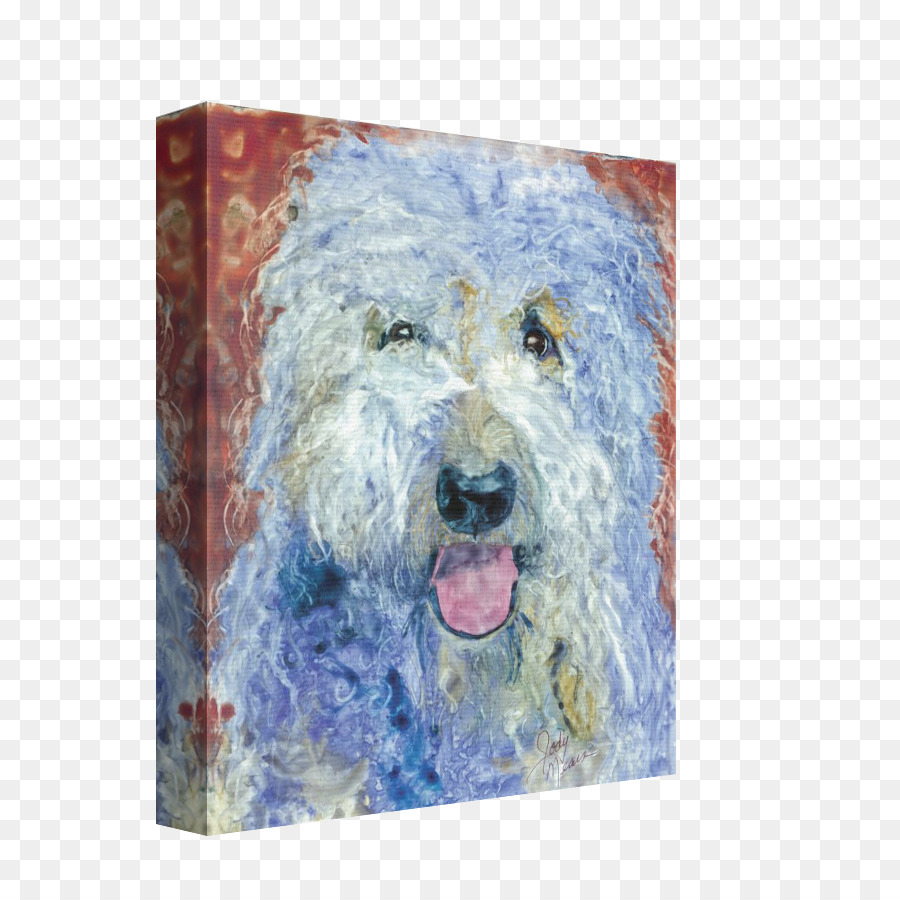 Goldendoodle，Schnoodle PNG