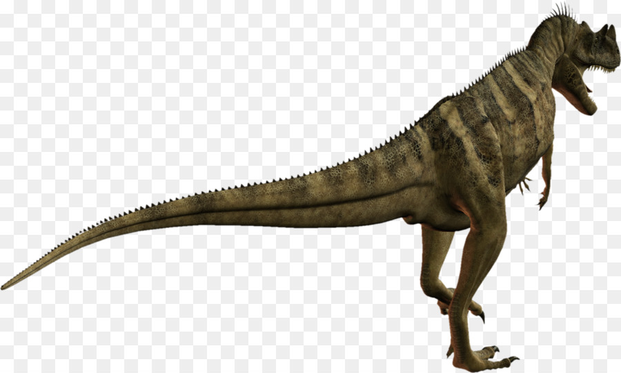 Tyrannosaurus，Velociraptor PNG