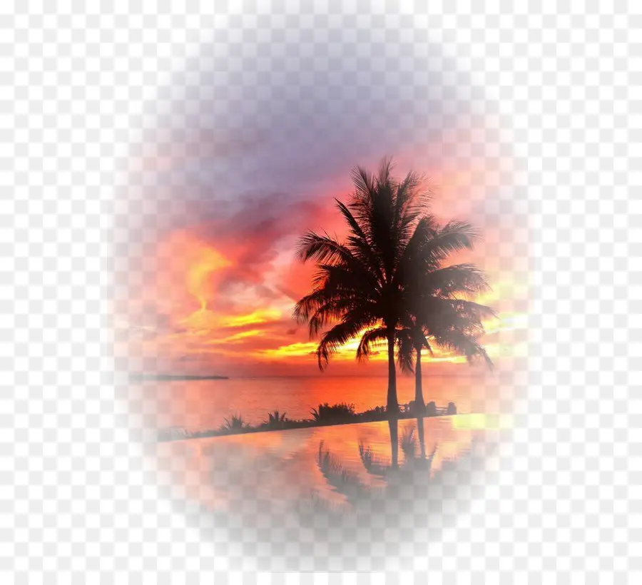 Póster，Playa PNG