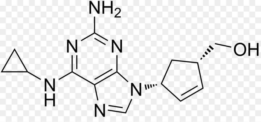Citosina，5methylcytosine PNG