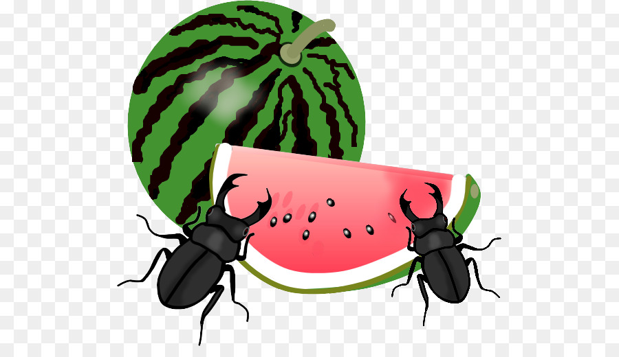 La Sandía，La Fruta PNG