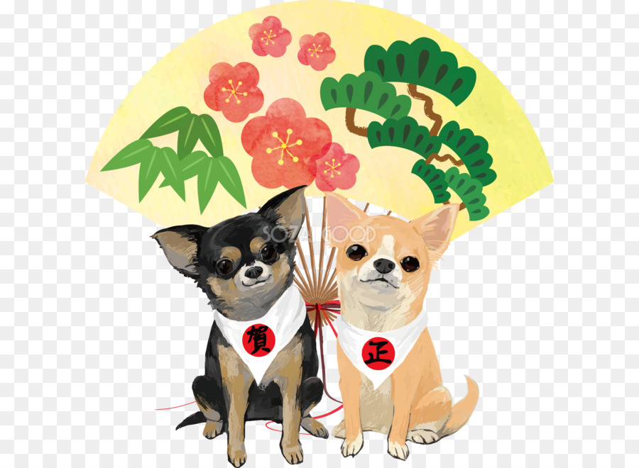 Chihuahua，Cachorro PNG