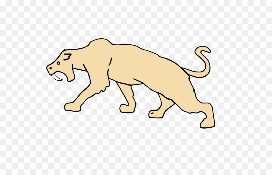 León，Gato PNG