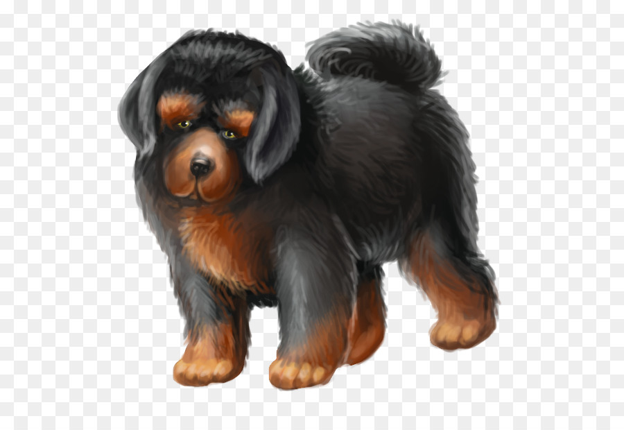 Perro Shih Tzu，Mascota PNG