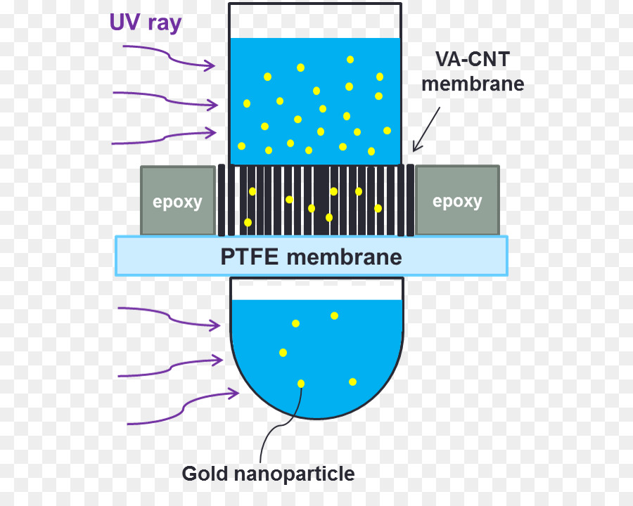 Nanotubos De Carbono，La Deposición Química De Vapor PNG