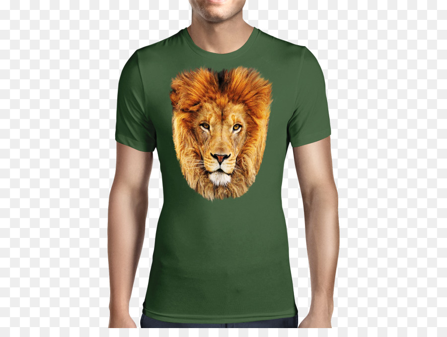 Camiseta，León PNG