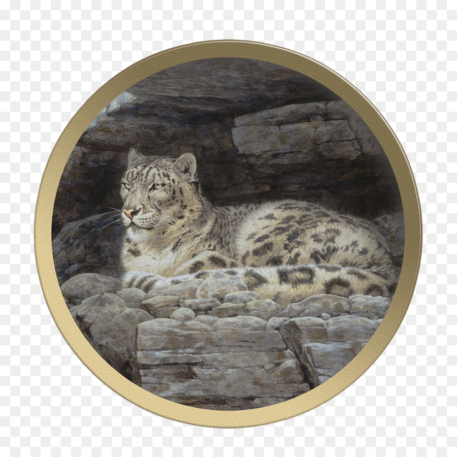 Leopardo，Felidae PNG