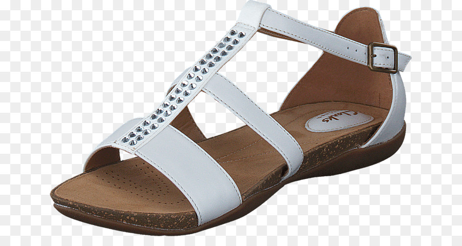 Amazoncom，Zapatilla PNG