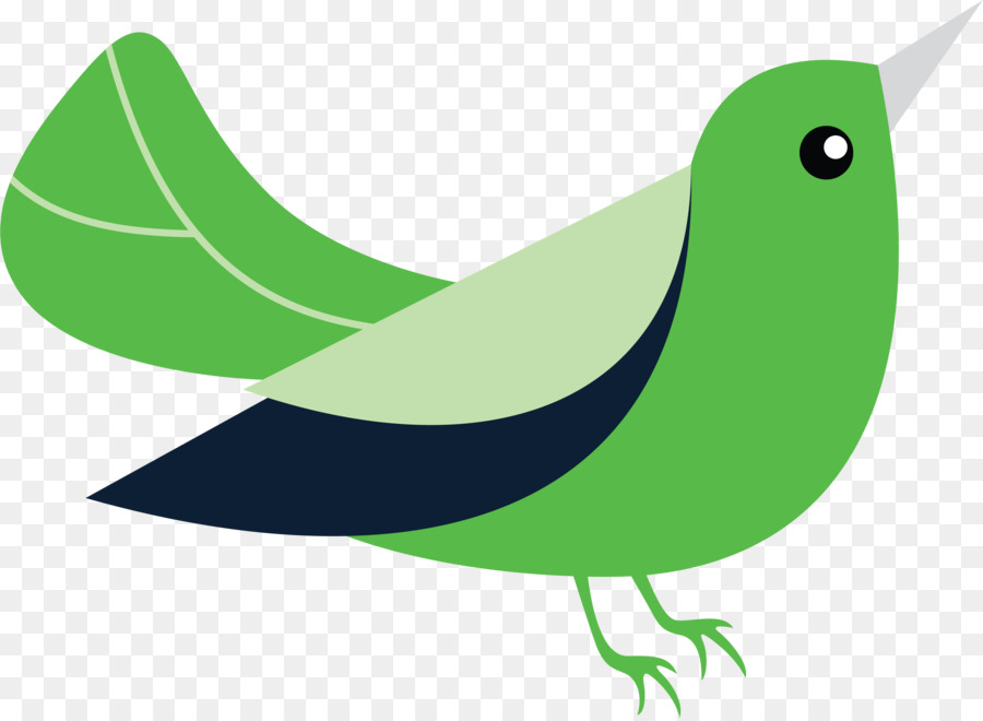 Pájaro，Verde PNG