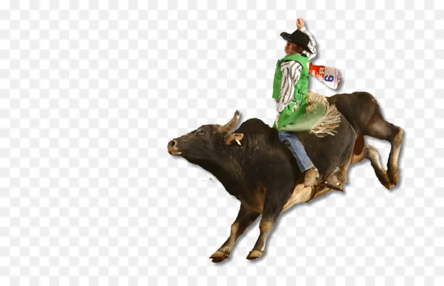 Monta De Toros，Rodeo PNG