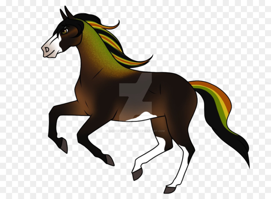 Caballo，Equino PNG