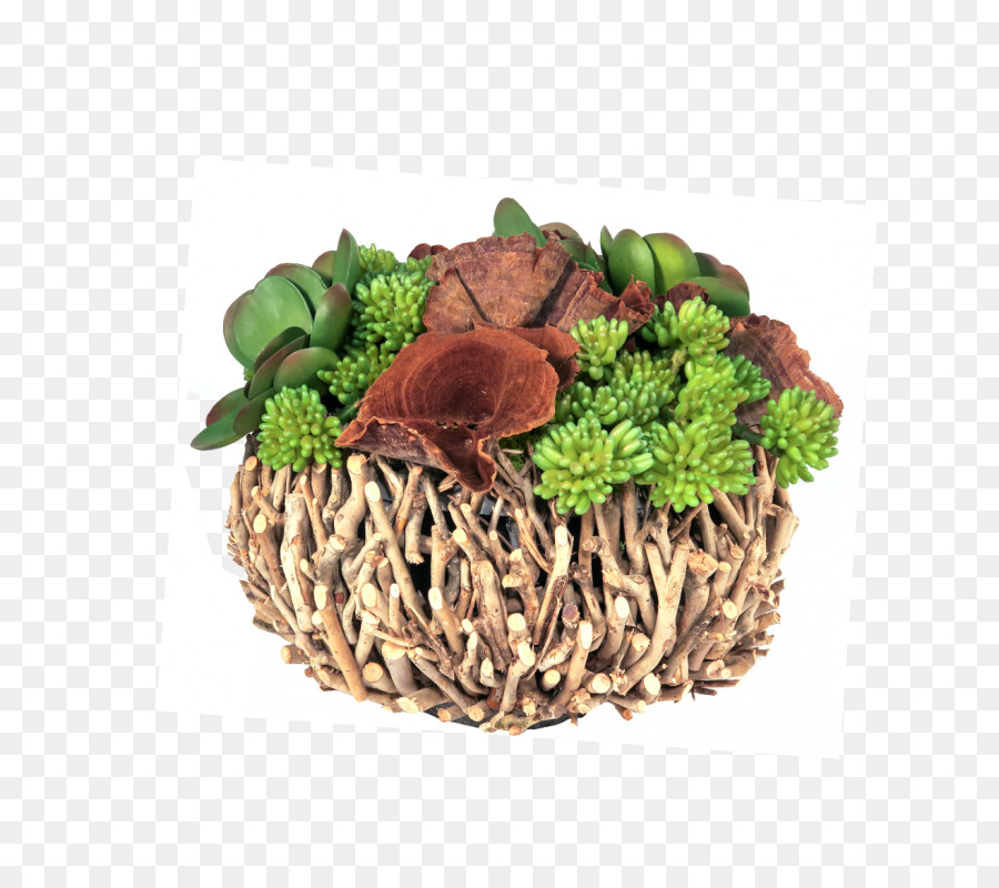 Hoja Vegetal，Hierba PNG