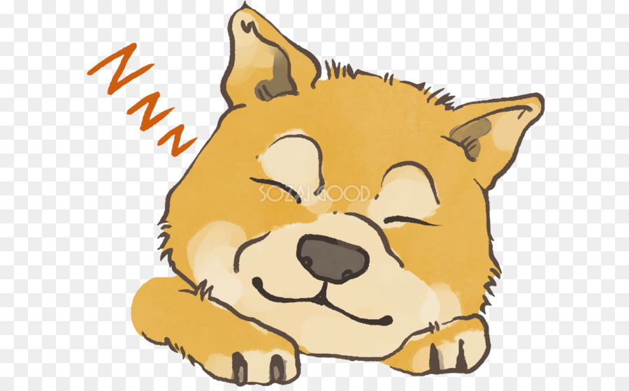 Bigotes，Shiba Inu PNG