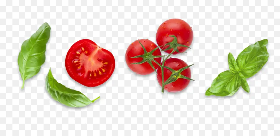 Tomate，Bush Tomate PNG