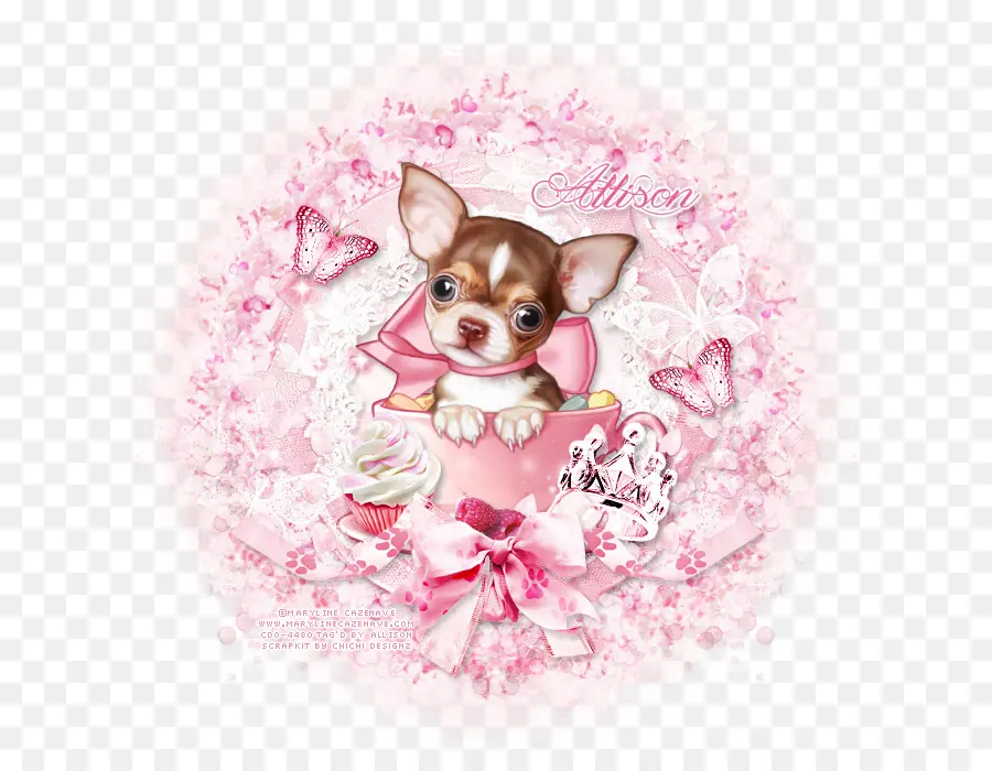 Lindo Chihuahua，Cachorro PNG