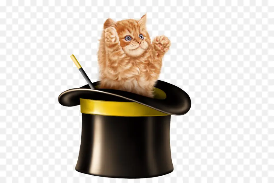 Gatito Con Sombrero，Gatito PNG