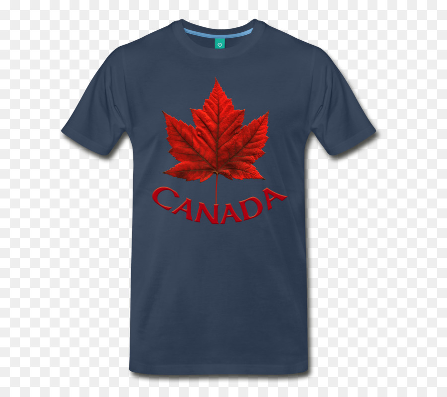 Camiseta，Brasilia PNG