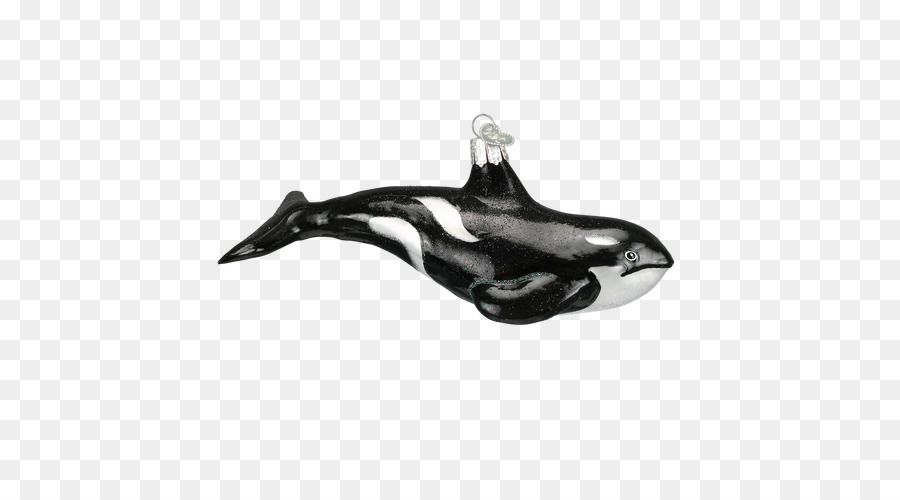 Delfín，Cetacea PNG