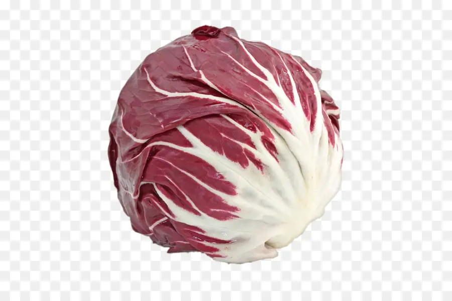 Radicchio，Vegetal PNG