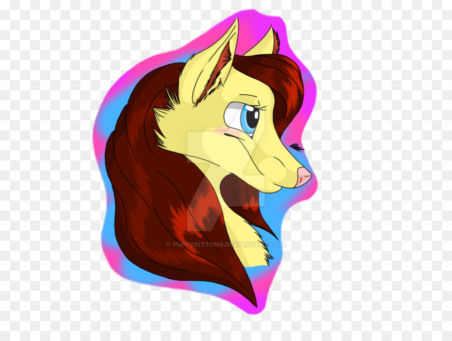 Gato，Caballo PNG