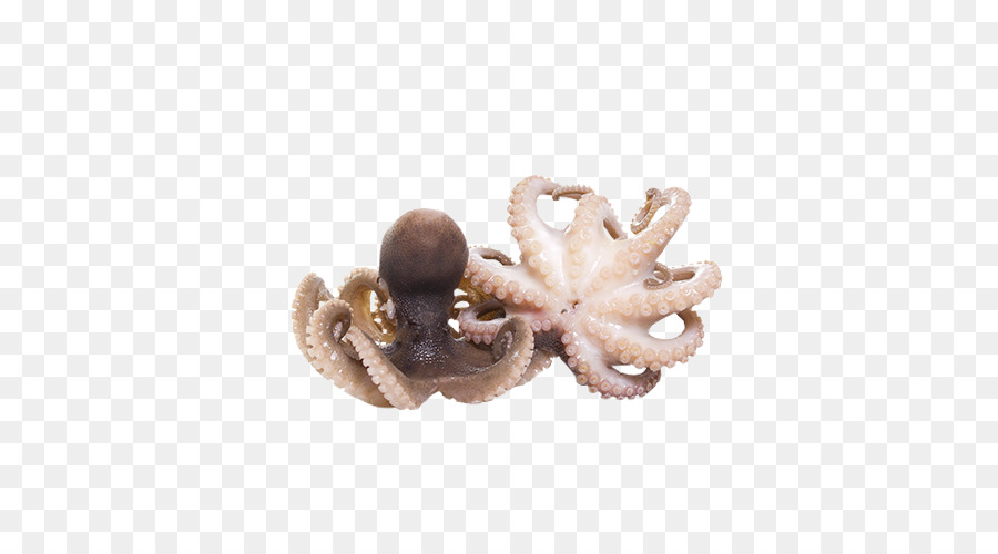 Pulpo，Una Fotografía De Stock PNG